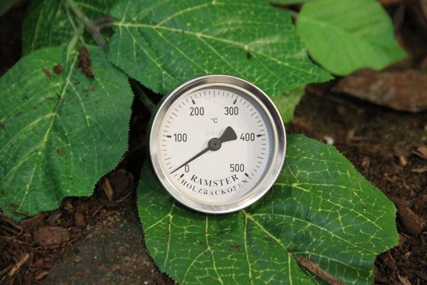 Ramster Thermometer